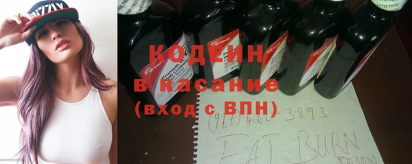 индика Нягань