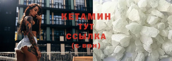 индика Нягань